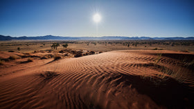 Ein Panoramabild über die Savanne Namibias.